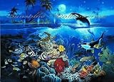 Tropical Fish 3934 Wall Mural