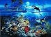Tropical Fish 3934 Wall Mural