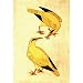 Miniatures India Folk Famous Paintings Drawings Decor