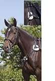 Sports & Leisure Online Shop Ranking 15138. USG Five Point Breast Plate with Martingale Fork/ Silver Fittings/ Elastic, Pony, Navy Sports & Leisure Online Shop Ranking 15138. USG Five Point Breast Plate with Martingale Fork/ Silver Fittings/ Elastic, Pony, Navy