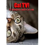 Happy Cat TV
