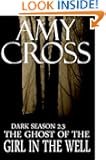 The Ghost of the Girl in the Well (Dark Season 2.3)