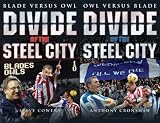 Divide of the Steel City: Blade Versus Owl