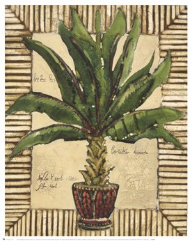 Alex Brewer Potted Palm I 19 x 24 Print
