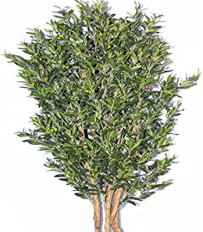 Artificial Uv Olive Tree 5.5ft 2ct for Indoor/outdoor Use. 2yr Manufacturer Warranty Included