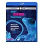 What Darwin Never Knew [Blu-ray]