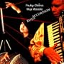 Accordion Koto