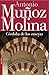 Córdoba de los omeyas (Spanish Edition)