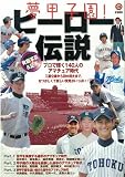 夢甲子園ヒ-ロ-伝説 (NIKKAN SPORTS GRAPH)