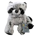 Webkinz Raccoon with Trading Cards