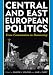 Central and East European Politics: From Communism to Democracy by Curry Jane ISBN 0742540685