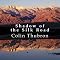 Shadow of the Silk Road
