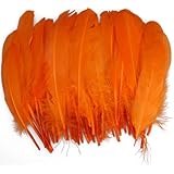 50pcs Home Decor Orange Duck Feather