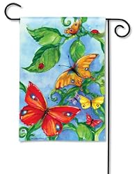 Butterfly Boulevard Garden Flag