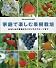 家庭で楽しむ果樹栽培―おなじみの果物からトロピカルフルーツまで (別冊NHK趣味の園芸)
