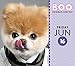 Boo Year-In-A-Box Calendar (2017)