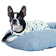 Fashion Pet Sleepy Time Blue Dog Pajama X-Small