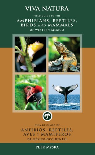 Amphibians