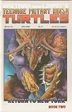 Teenage Mutant Ninja Turtles #20 (Return to New York Book Two) Vol. 1 April 1989