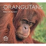 orangutans worldlife library