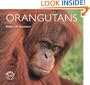 Orangutans (WorldLife Library)