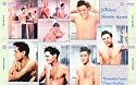 Elvis Presley Collectible Four-Piece Phone Card Puzzle Set - Shower Scene Montage