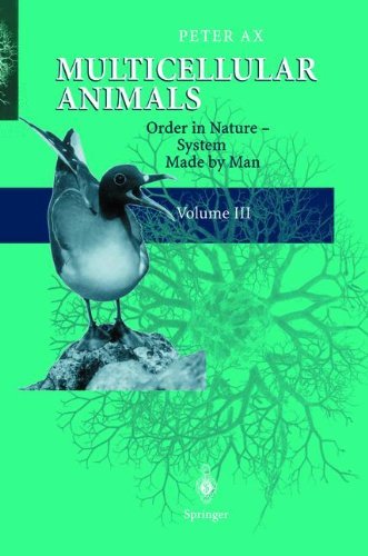 Multicellular Animals: Volume III: Order in Nature - System Made by Man: 3