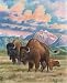 Bison by Anne Jenkins. Size 11.00 inches width by 14.00 inches height. High Quality Art Poster Print