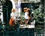 Matt Damon, Gwyneth Paltrow & Jude Law Signed 8x10 Photo