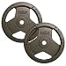 Sports : POWER-EXTREME 2x 10Kg Guss Grip Hantelscheiben