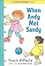 When Andy Met Sandy (An Andy & Sandy Book)