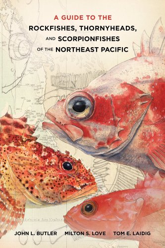 a guide to the rockfishes thornyheads and scorpionfishes of the northeast pacific