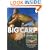 Big Carp