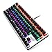 LINGBAO JIGUANSHI Mechanical Keyboard 87 Keys Computer Wired USB Backlit Metal Panels Gaming Keyboard (Mixed Light, Silver Bezel, Black Cap, Black Switches)