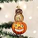 Old World Christmas Owl And Pumpkin Glass Blown Ornament