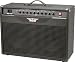 Raven RG100 100W 2x12 Guitar Combo Amplifier