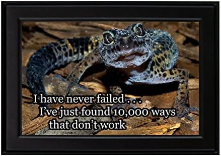 Leopard Gecko - Funny Framed Photo - Ihave never failed ... I've just found 10,000 ways that don't work