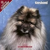 2009 Keeshond Wall Calendar