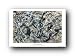 Jackson Pollack Poster Silver On Black Art 33246