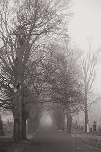 Tree Photograph Print | Bare Trees in a Cementary | Lensbaby Capture