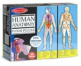 Foam Puzzles