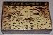 Caesars Indiana Casino Resort GAME CHEST