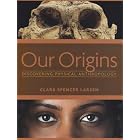 Our Origins: Discovering Physical Anthropology by Clark Spencer Larsen