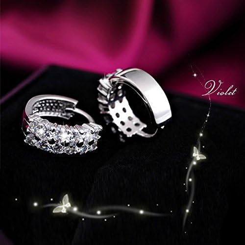 Crystal Earring Men 925 Sterling Silver Jewelry Woman Earings Accessories Wedding Stud Earrings New Y043