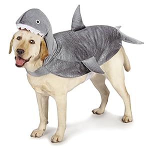 Casual Canine Casual Canine Shark Dog Costume, X-Large