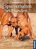 Spielverhalten bei Hunden: Spielformen und -typen. Kommunikation und Körpersprache