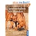 Spielverhalten bei Hunden: Spielformen und -typen. Kommunikation und K�rpersprache