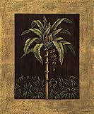 IMAGE OF Tropical Paradise II Finest LAMINATED Print Samuel Blanco 33x40