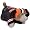 Cleveland Browns