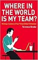 Where in the World Is My Team? (Making a Success of Your Virtual Global Workplace) (Hardcover)